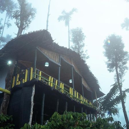 The Mountain Tree Home Wayanad Exterior photo