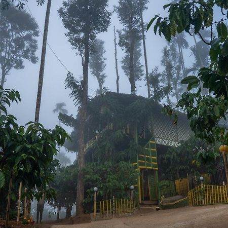 The Mountain Tree Home Wayanad Exterior photo