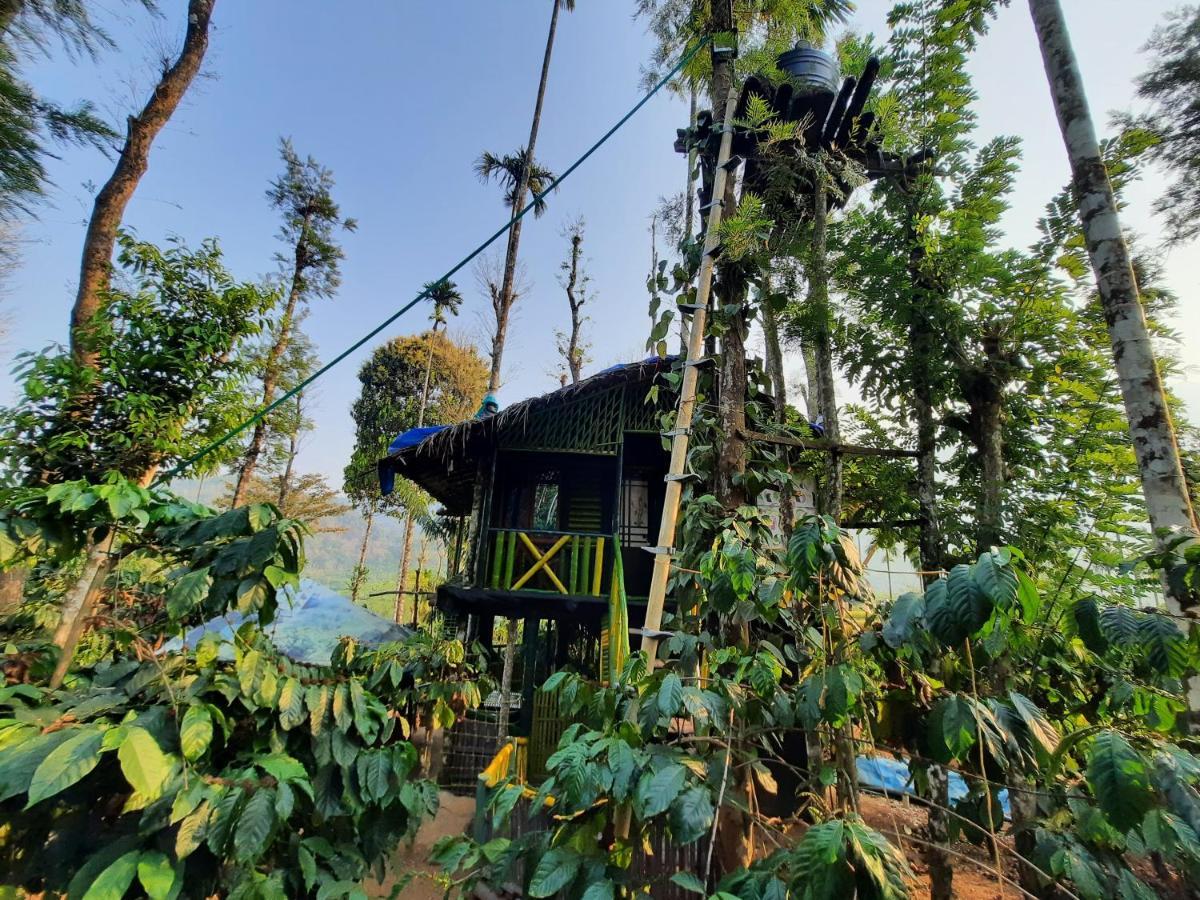 The Mountain Tree Home Wayanad Exterior photo