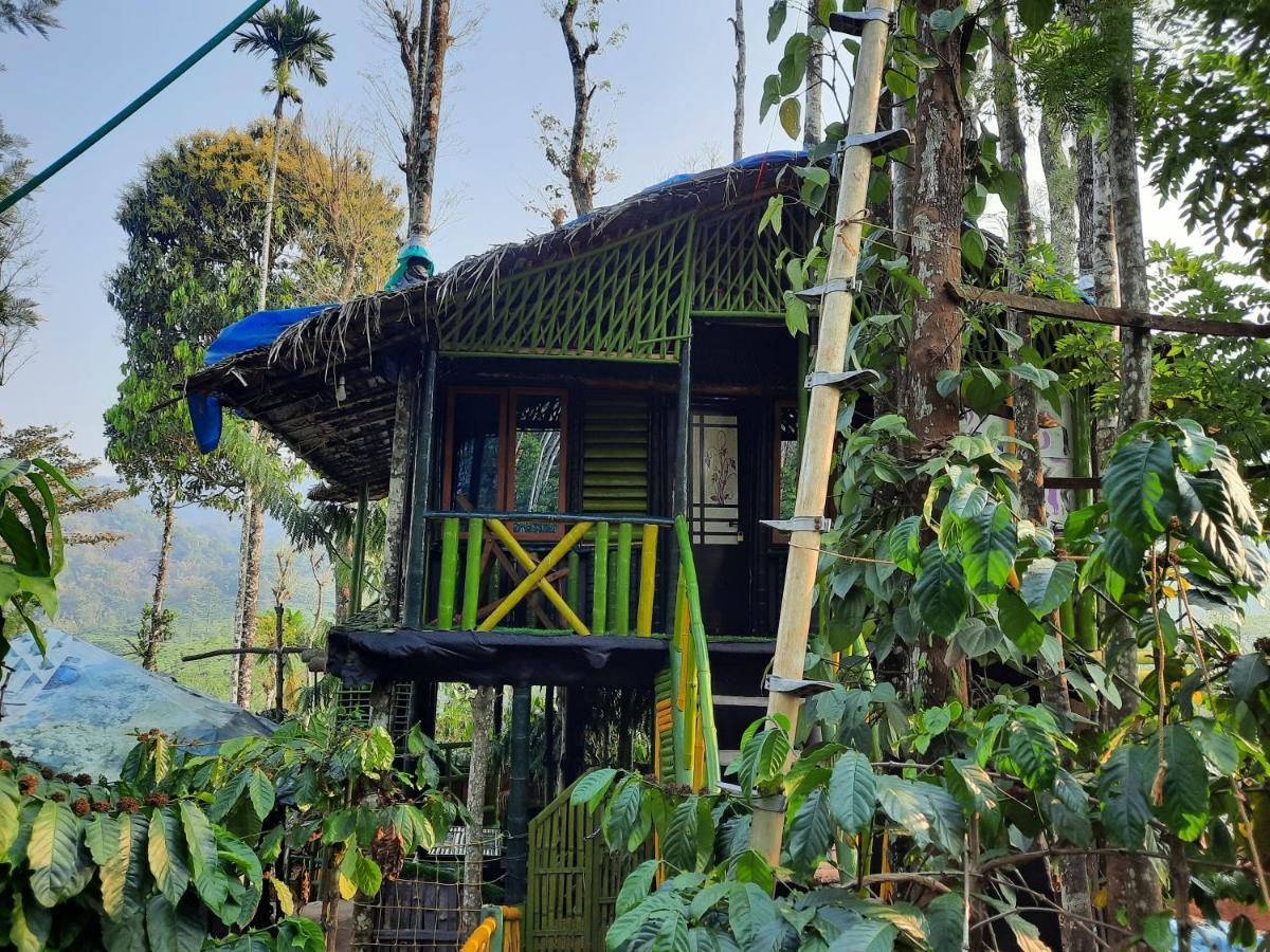 The Mountain Tree Home Wayanad Exterior photo