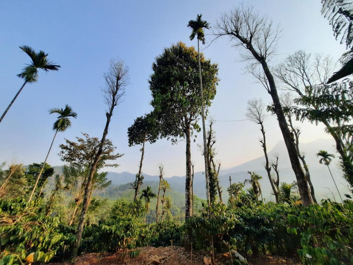 The Mountain Tree Home Wayanad Exterior photo