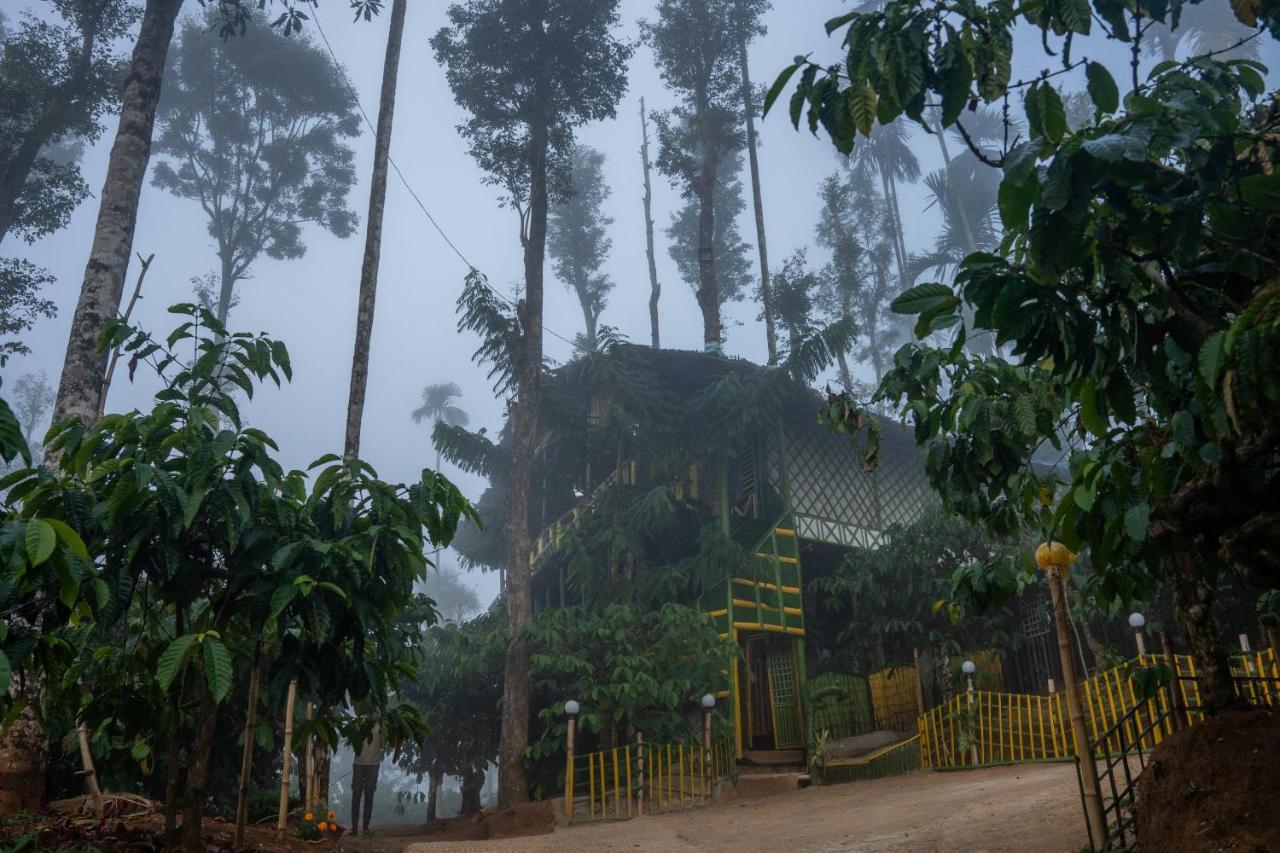 The Mountain Tree Home Wayanad Exterior photo
